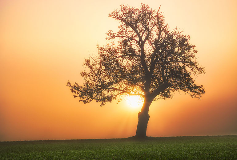Menopause - Combined Test - Gynäkologie Graz