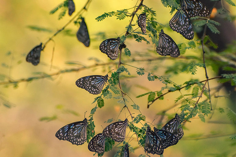 Frauenarzt Graz - Gynäkologie Graz - Onkologie Graz - Brustkrebs Behandlung
